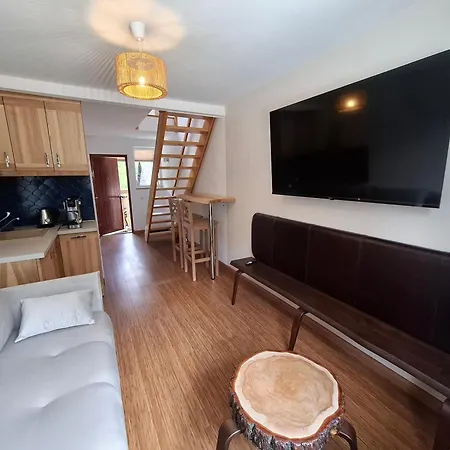 Apartman Mlyn Męcikał
