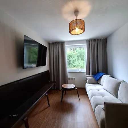 Apartman Mlyn *