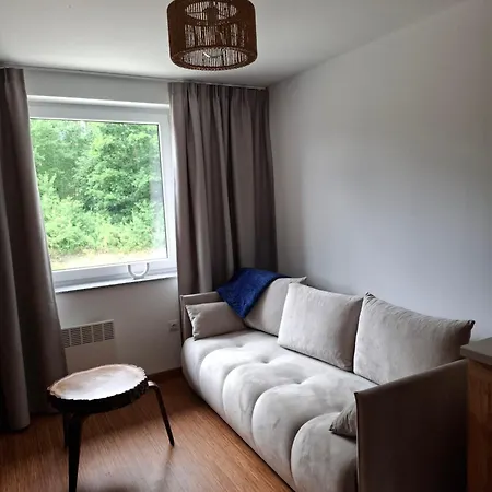 Apartman Mlyn *